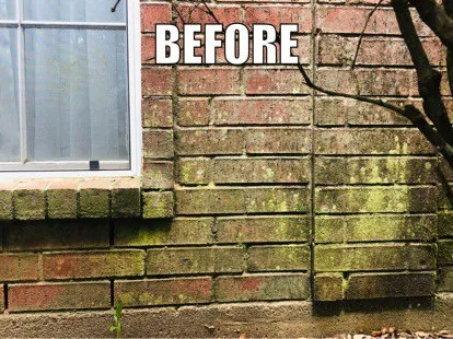 Reliable landscape design in Dallas, TX by Tribe