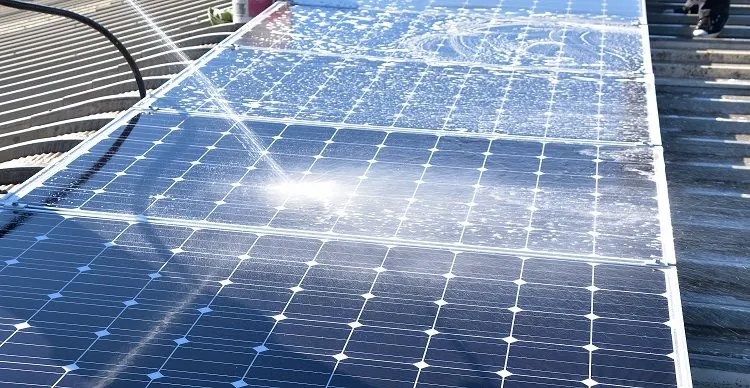 Professional lawn care service experts serving Dallas, TX - Tribe