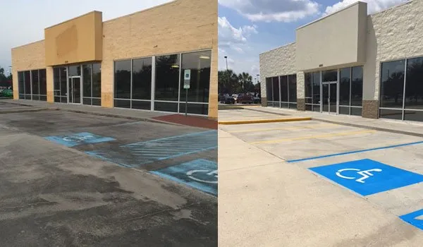 Reliable landscaping services with custom design across Dallas, TX - Tribe