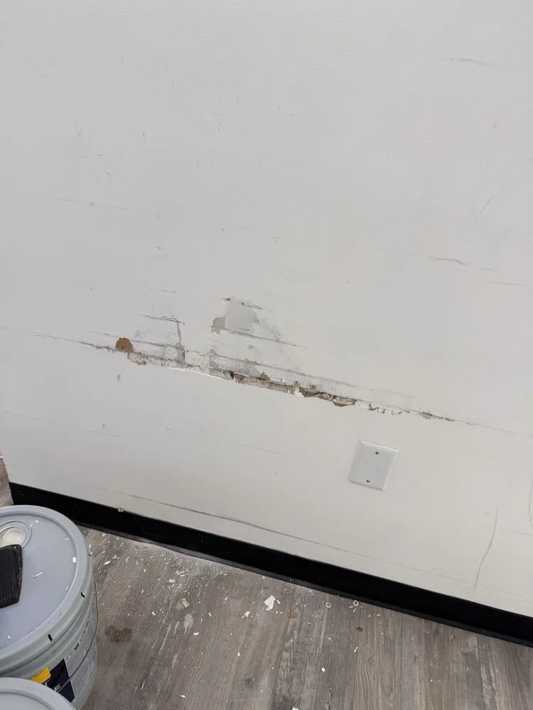 Top-rated landscaping services experts serving Richmond, VA - TriBolt Property Solutions