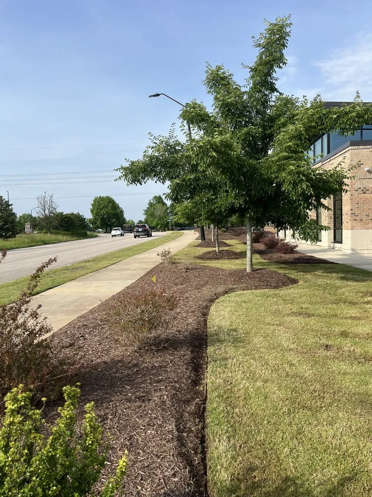 Expert landscaping services with custom design across Durham, NC - Tricare Landscaping