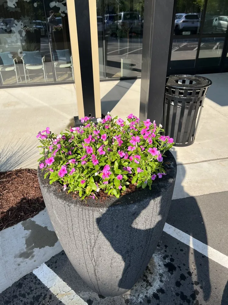 Top-rated residential landscaping for year-round maintenance in Durham, NC by Tricare Landscaping