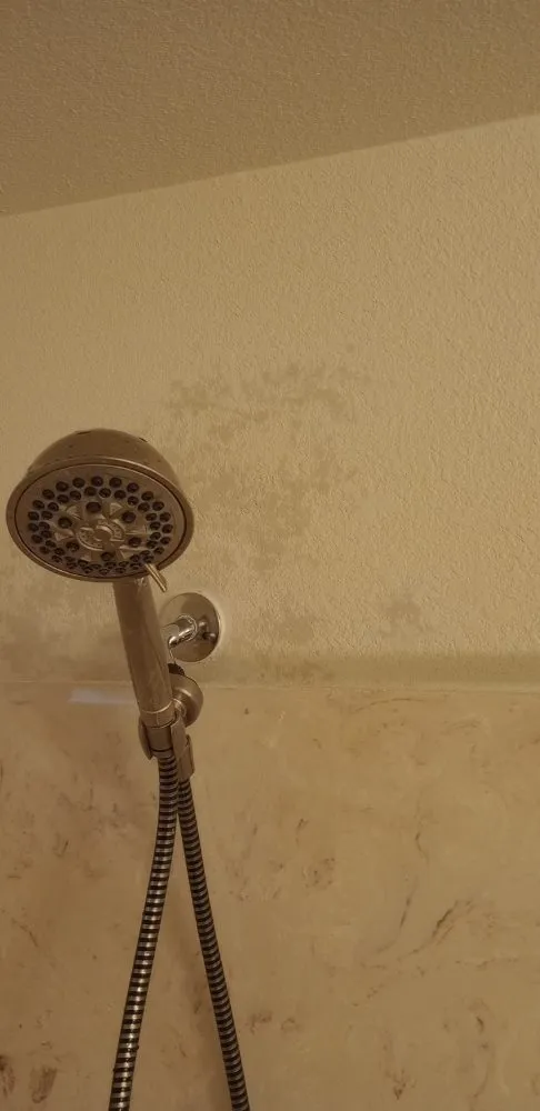 Professional yard cleanup service in Killeen, TX by Trice lawn and home services