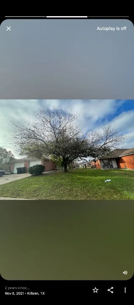 Top-rated yard cleanup service in Killeen, TX by Trice lawn and home services