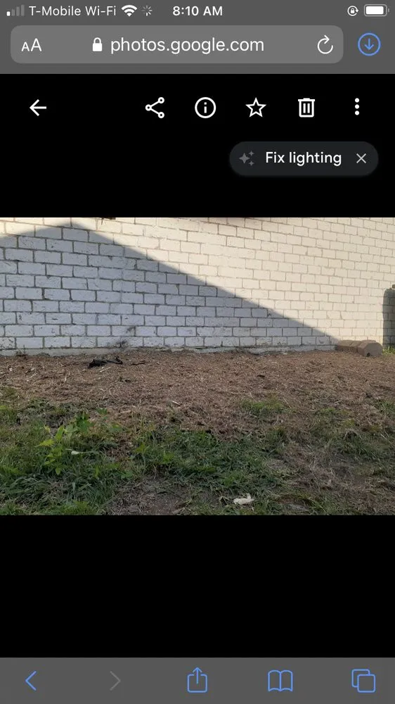 Top-rated yard cleanup service for homes across Killeen, TX - Trice lawn and home services