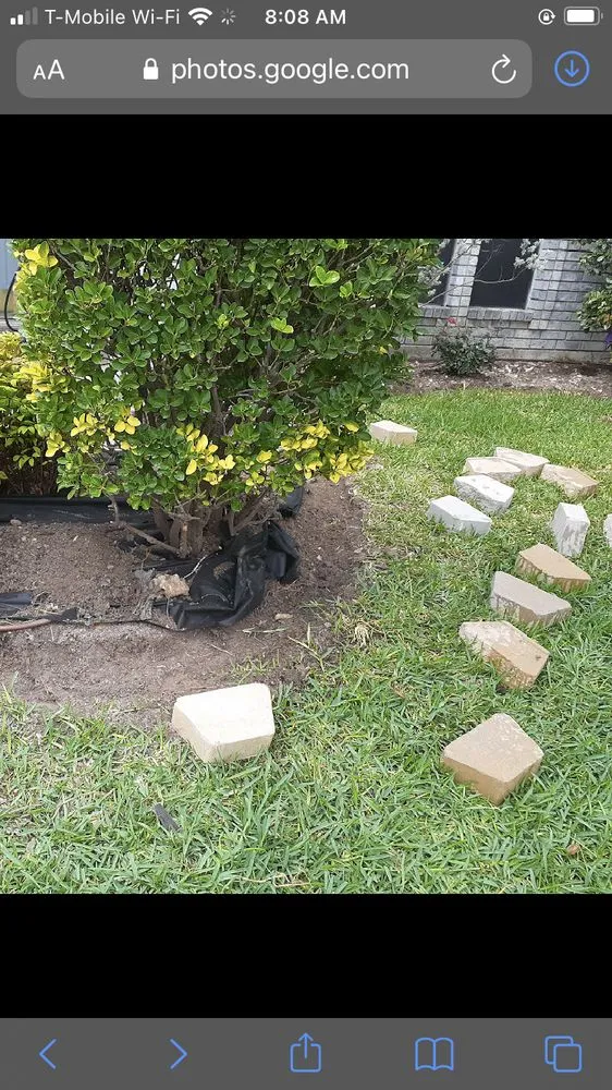 Expert lawn mowing service in Killeen, TX by Trice lawn and home services