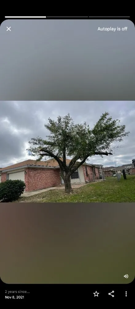 Custom yard maintenance experts serving Killeen, TX - Trice lawn and home services