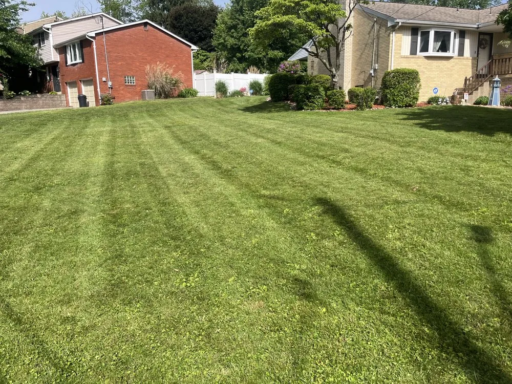 Expert landscaping services experts serving Latrobe, PA - Trice’s Landscaping
