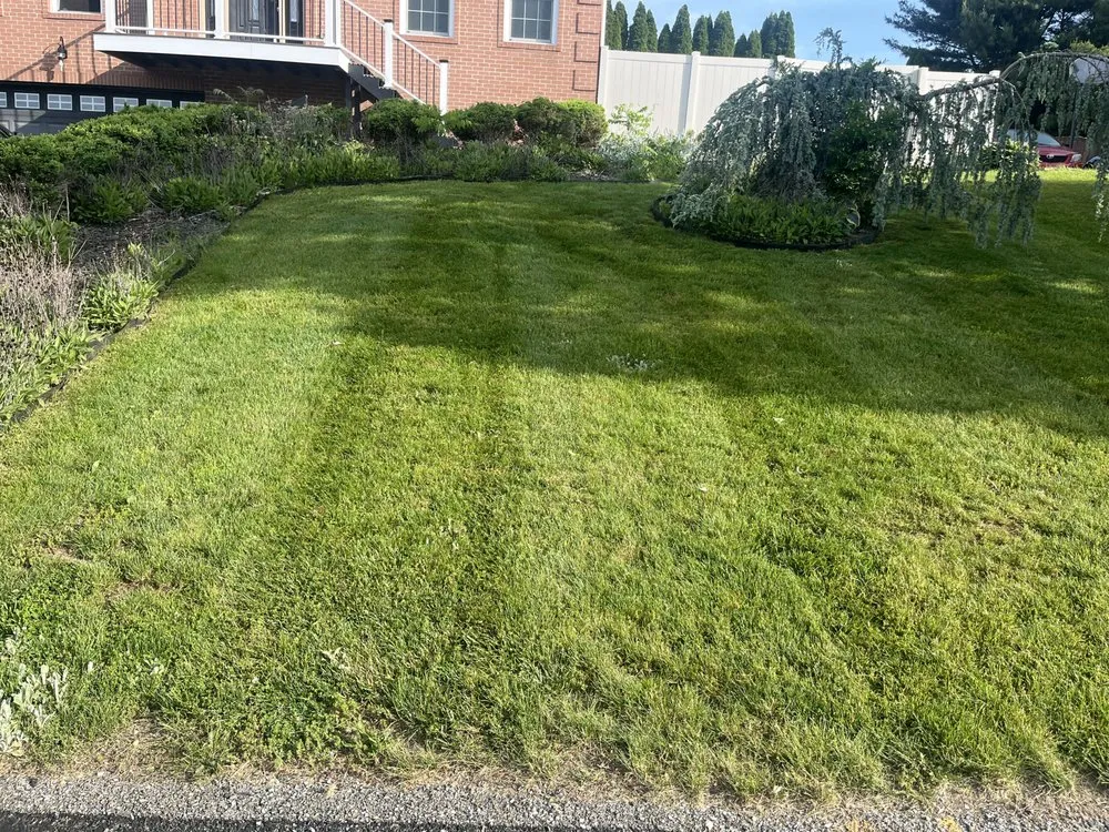 Affordable yard cleanup service experts serving Latrobe, PA - Trice’s Landscaping