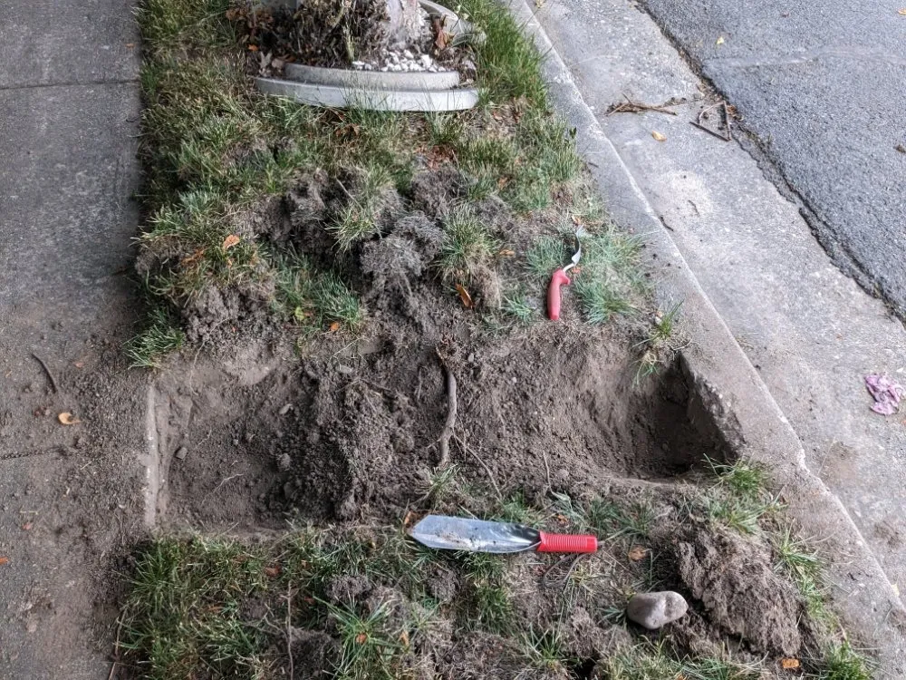 Professional lawn mowing service in Bountiful, UT by Trickle Tracker Sprinkler Service