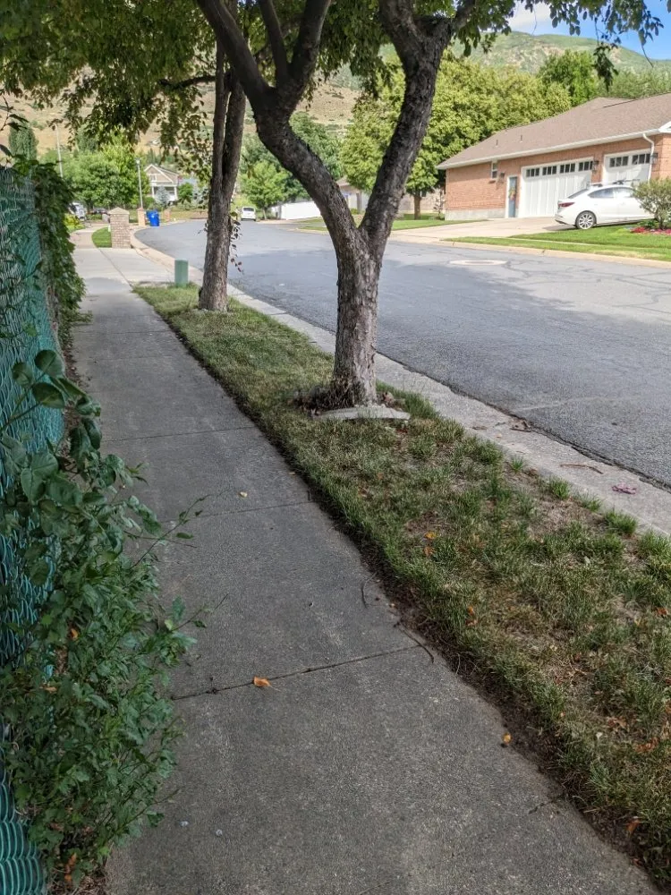 Affordable residential landscaping in Bountiful, UT - Trickle Tracker Sprinkler Service