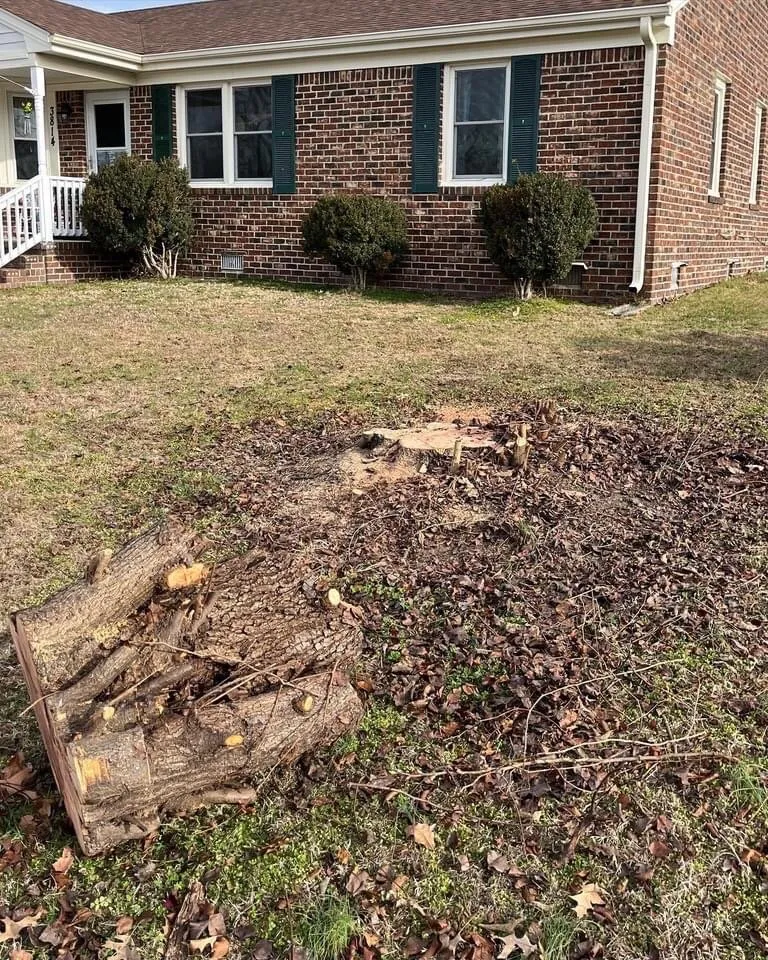 Affordable yard maintenance experts serving Virginia Beach, VA - Trident Lawn Care