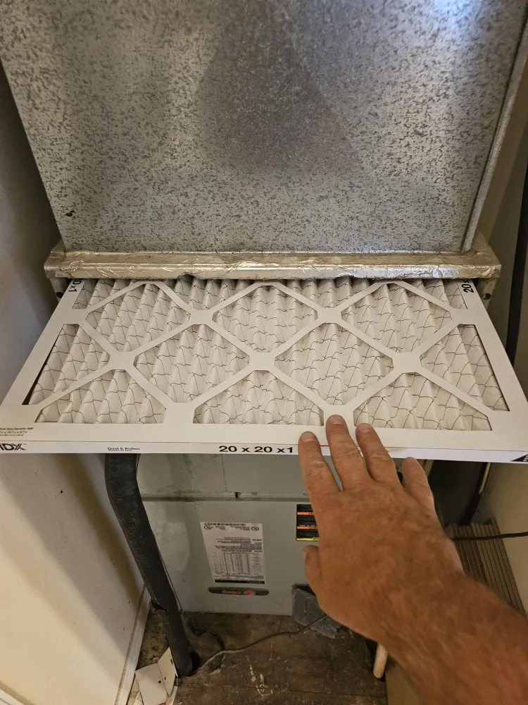 Trusted landscape installation experts serving Springfield, MO - Trident Property Preservation