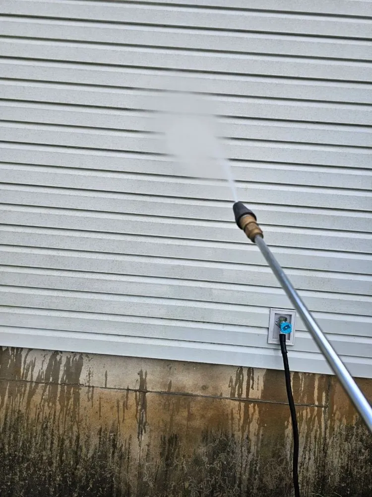 Expert yard cleanup service experts serving Springfield, MO - Trident Property Preservation