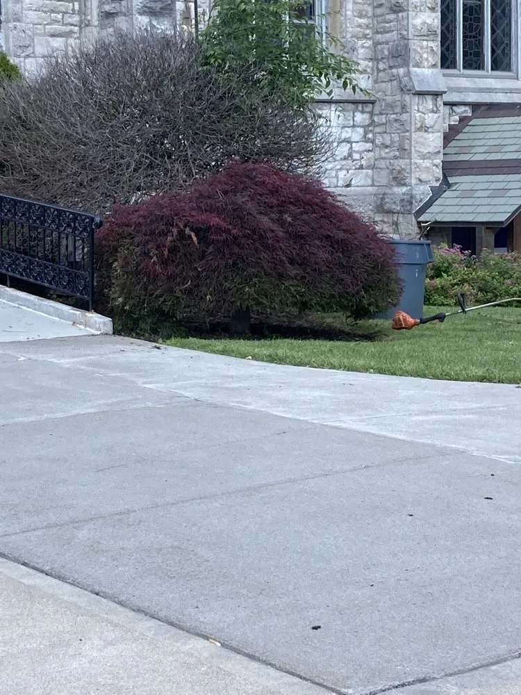 Professional yard maintenance for homes across Throop, NY - Trident Storm Recovery