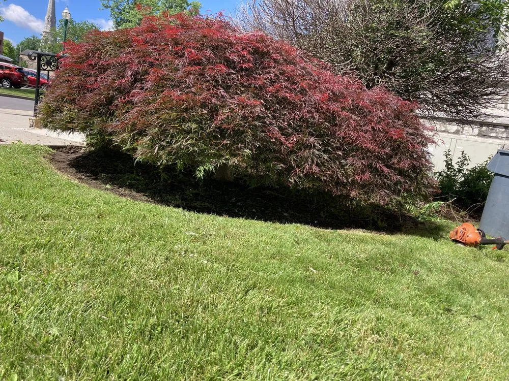 Affordable landscaping services in Throop, NY by Trident Storm Recovery