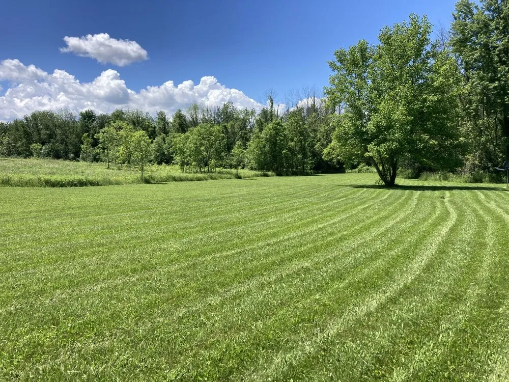 Professional outdoor landscaping in Throop, NY by Trident Storm Recovery