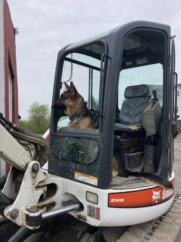 Reliable lawn care service with custom design across Throop, NY - Trident Storm Recovery