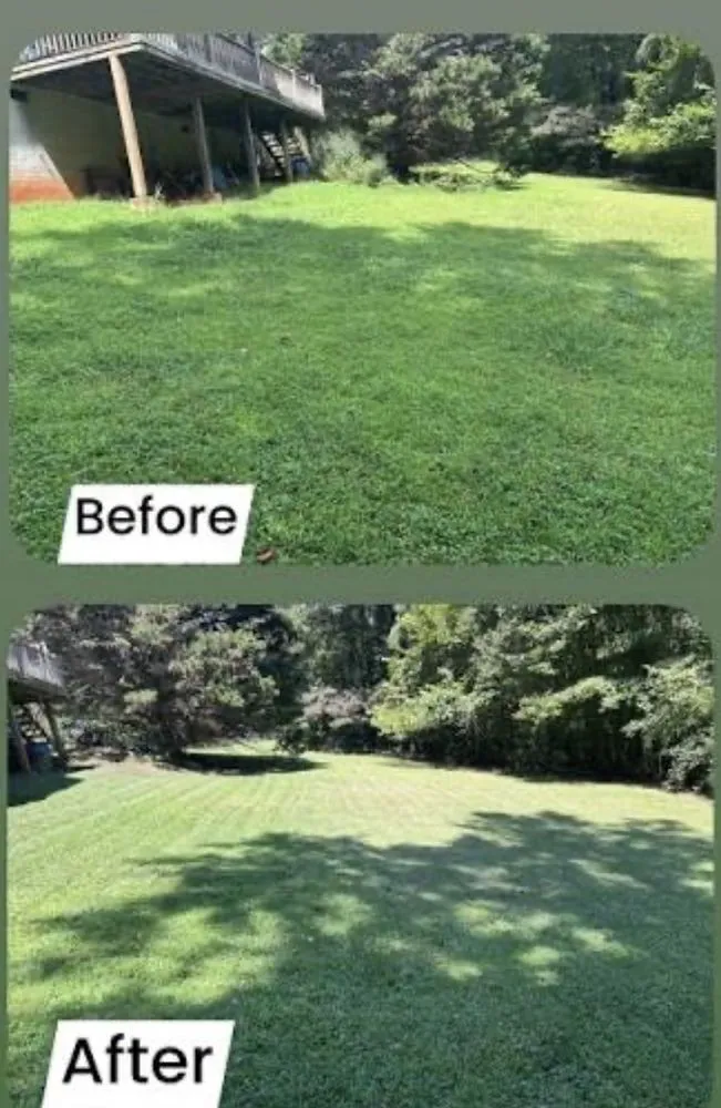 Reliable residential landscaping experts serving Palatka, FL - Tridents Edge Solutions