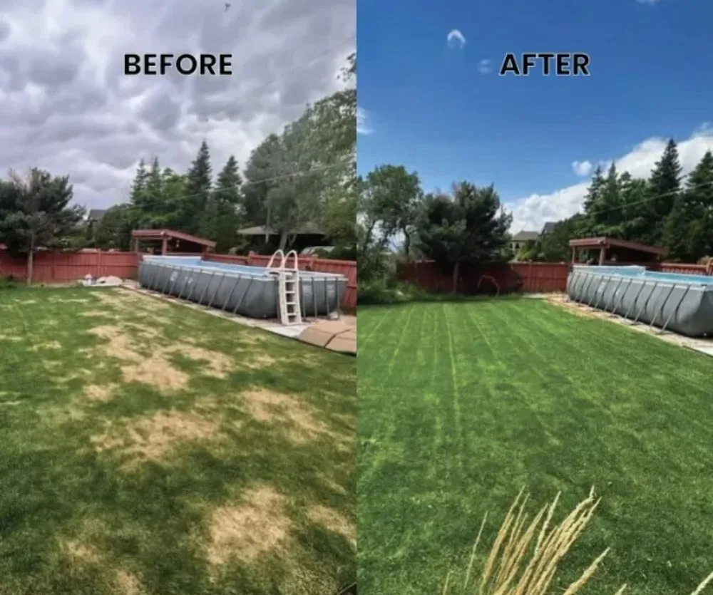 Professional garden landscaping for year-round maintenance in Palatka, FL by Tridents Edge Solutions