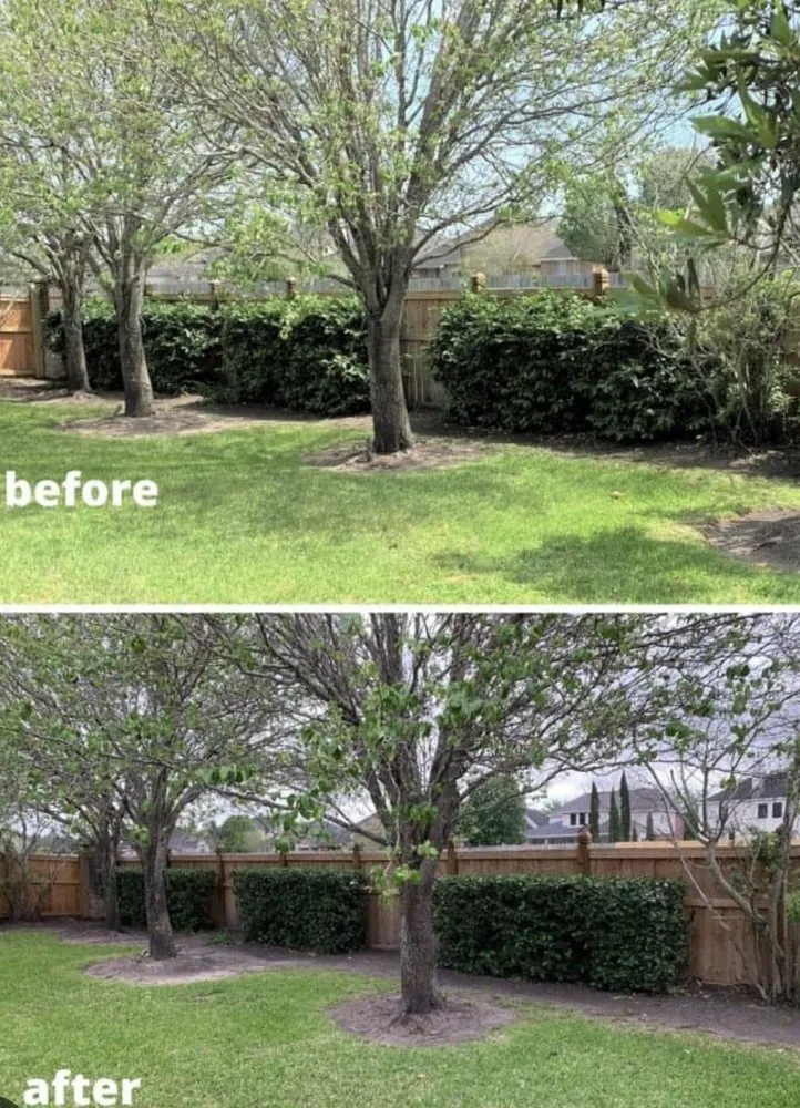 Expert landscape design in Palatka, FL by Tridents Edge Solutions