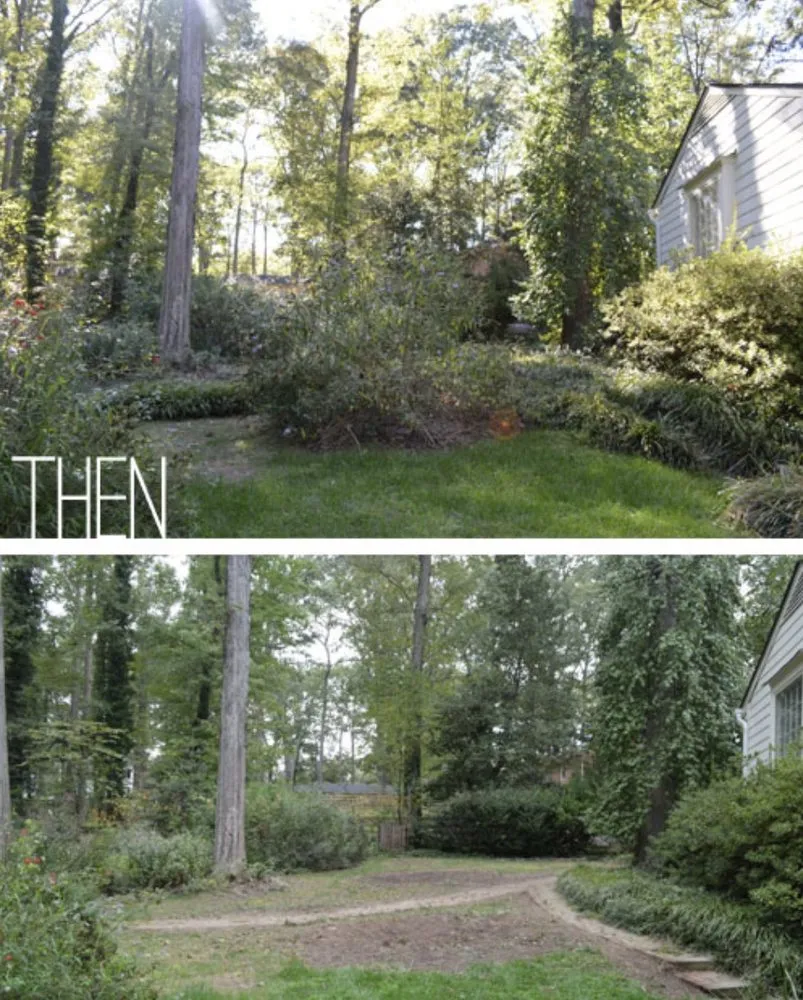 Affordable lawn care service experts serving Palatka, FL - Tridents Edge Solutions