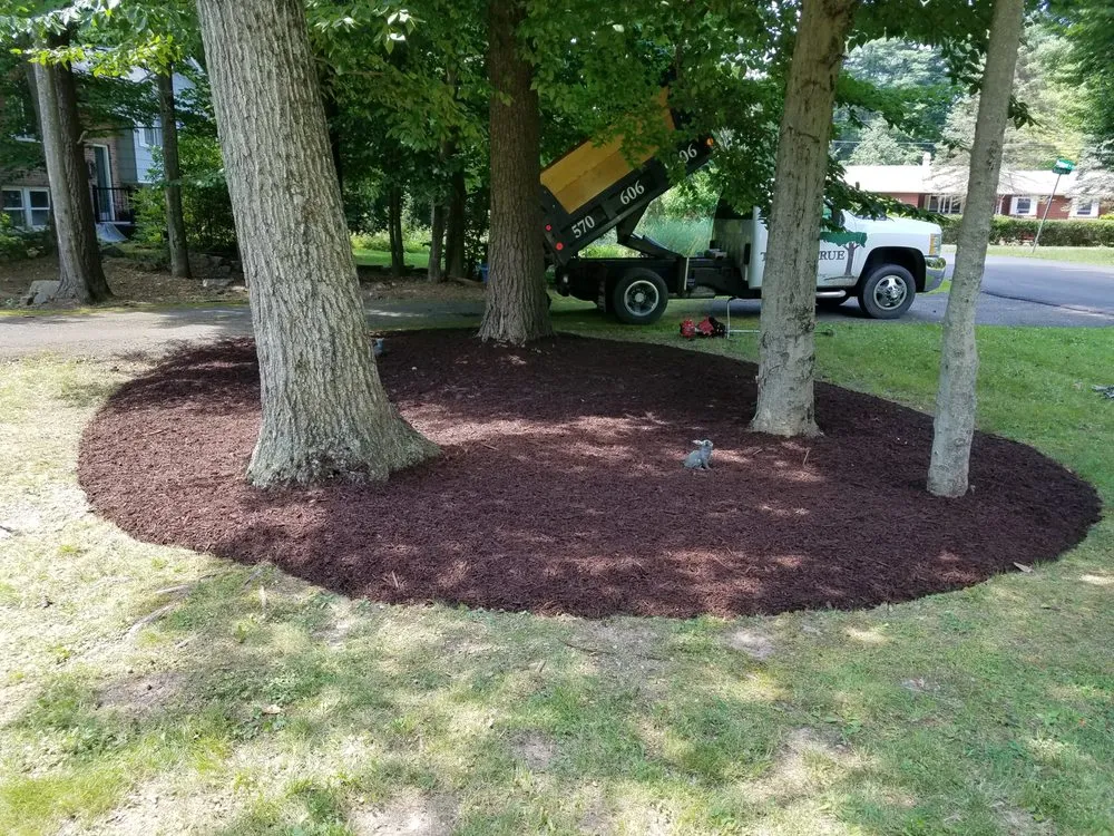 Affordable landscape design experts serving Blakeslee, PA - Tried & True Landscaping