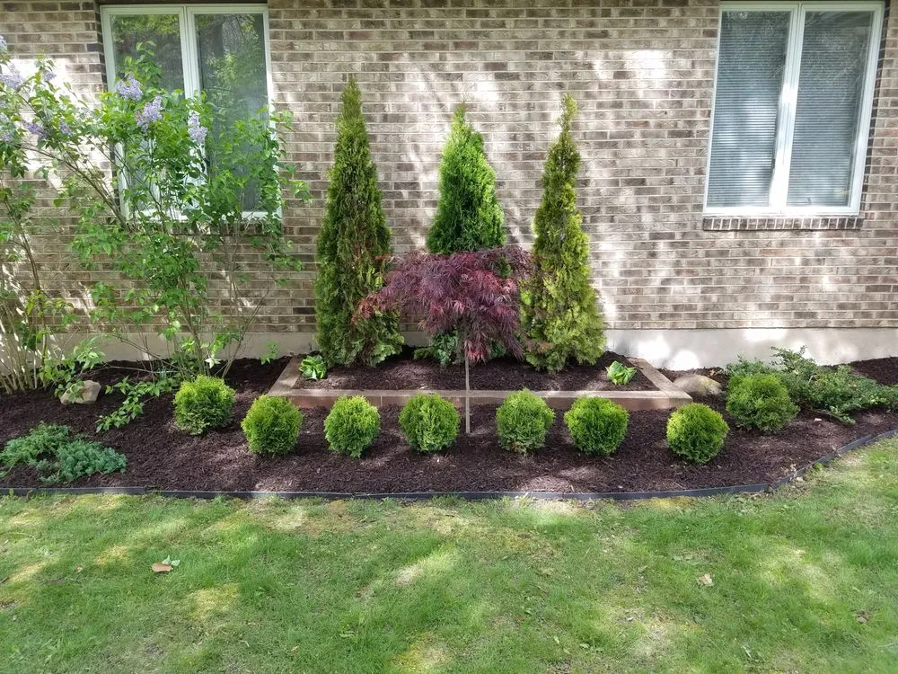 Affordable lawn care service experts serving Blakeslee, PA - Tried & True Landscaping