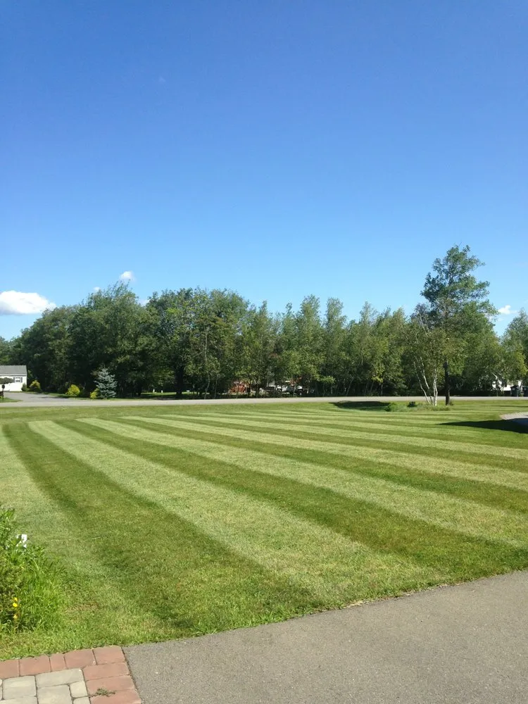 Reliable yard cleanup service experts serving Blakeslee, PA - Tried & True Landscaping