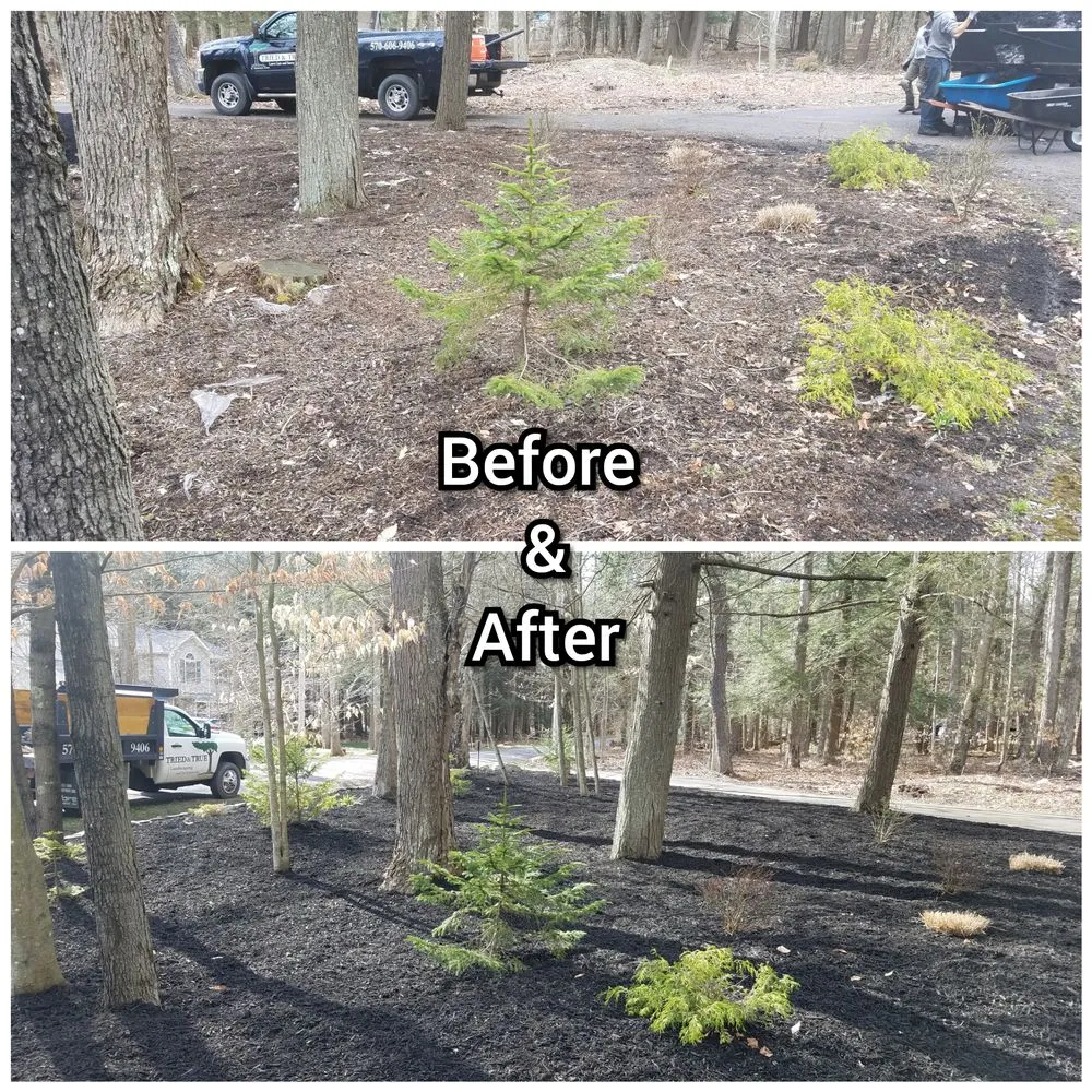 Top-rated lawn mowing service in Blakeslee, PA - Tried & True Landscaping