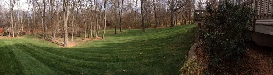 Expert landscaping services for beautiful yards across Winona Lake, IN - Trier Property Services
