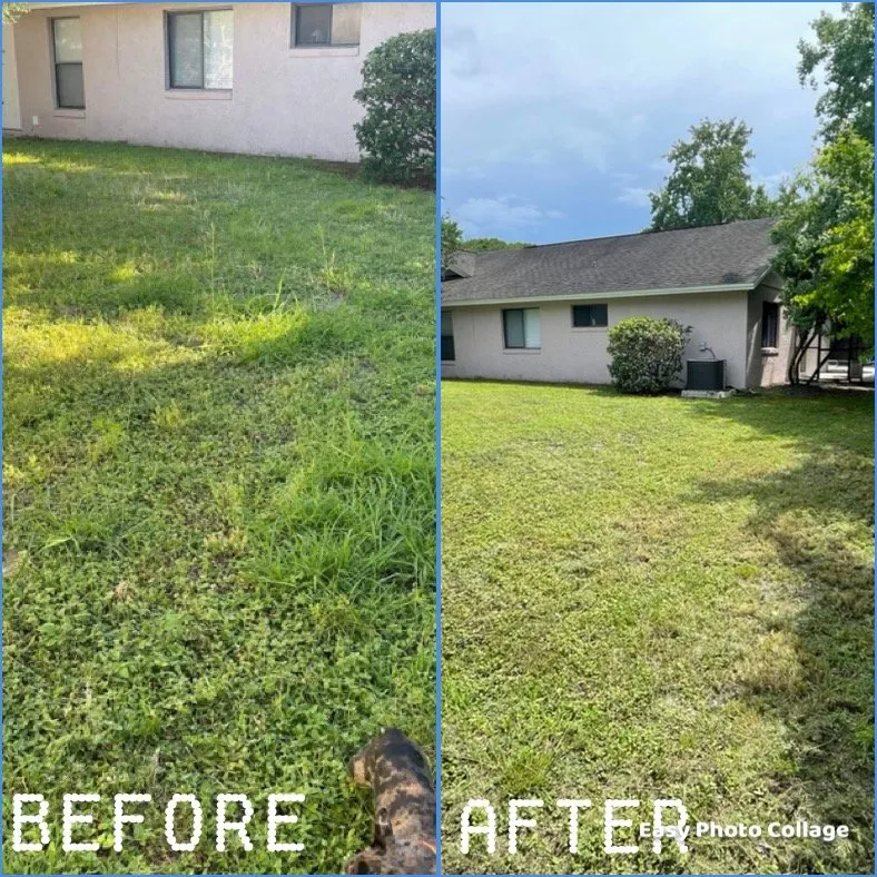 Custom lawn mowing service in Orlando, FL by TriForce Lawn Care and Pressure Wash services