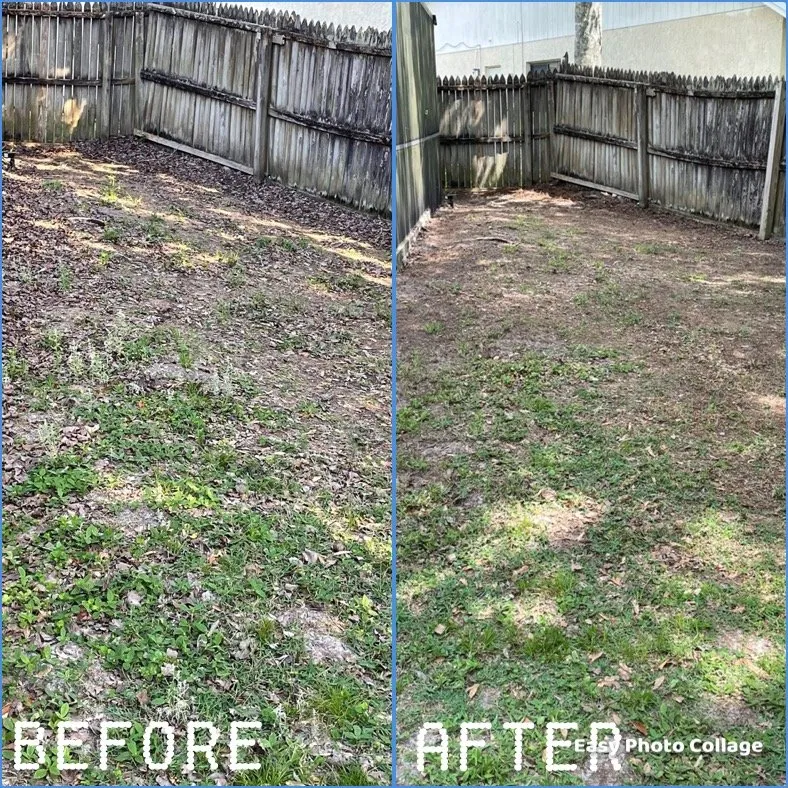 Top-rated lawn mowing service for outdoor upgrades in Orlando, FL by TriForce Lawn Care and Pressure Wash services