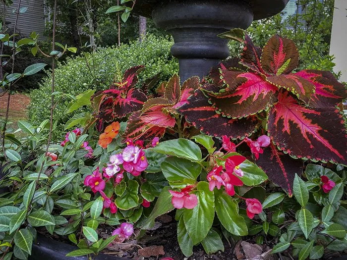 Custom landscape installation for residential properties across Dallas, GA - TriGem Homes & Gardens