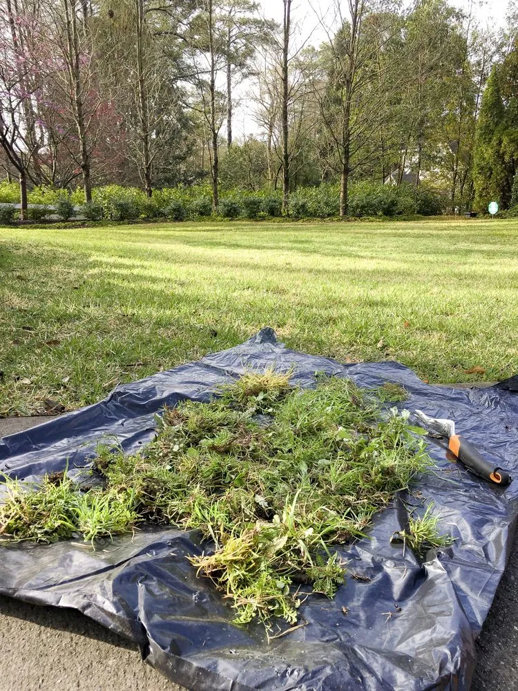 Affordable outdoor landscaping near you in Dallas, GA by TriGem Homes & Gardens