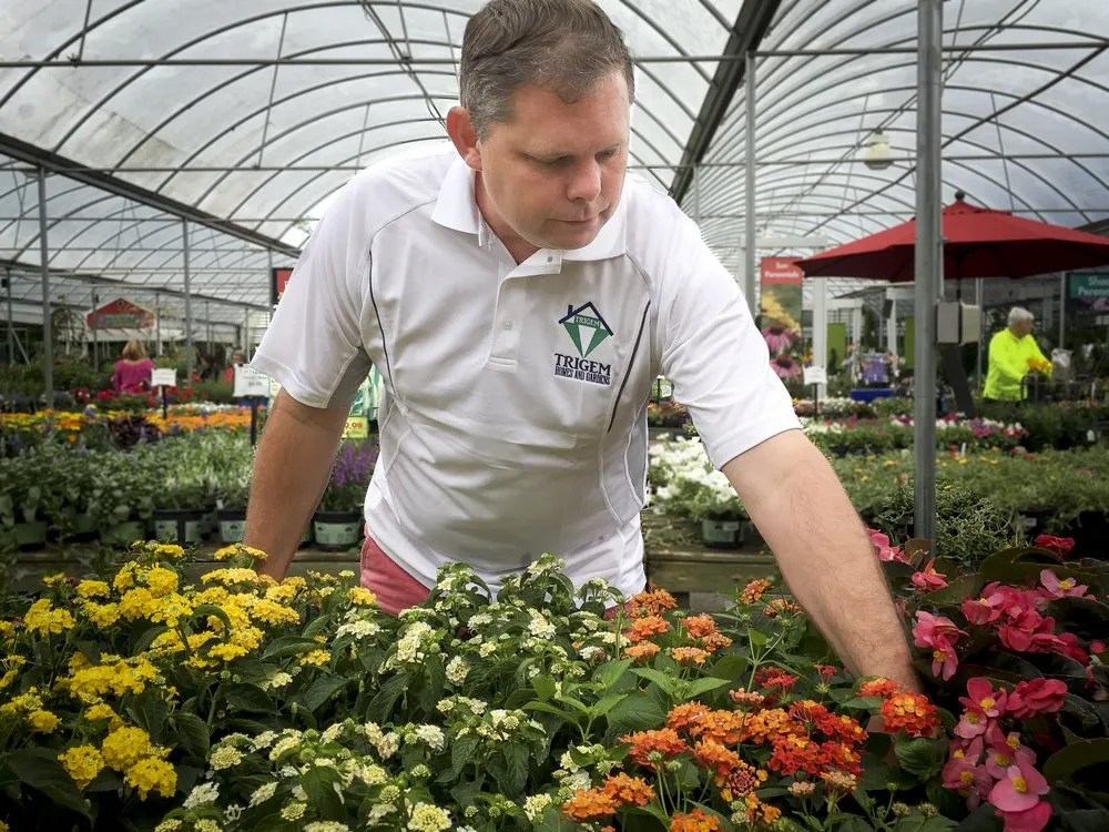 Affordable residential landscaping in Dallas, GA by TriGem Homes & Gardens