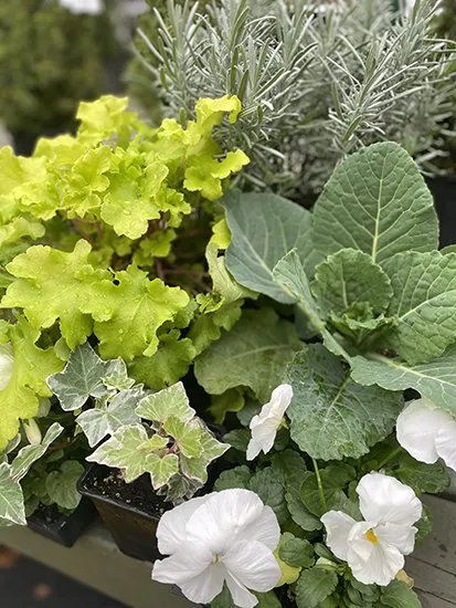 Trusted yard maintenance in Dallas, GA by TriGem Homes & Gardens