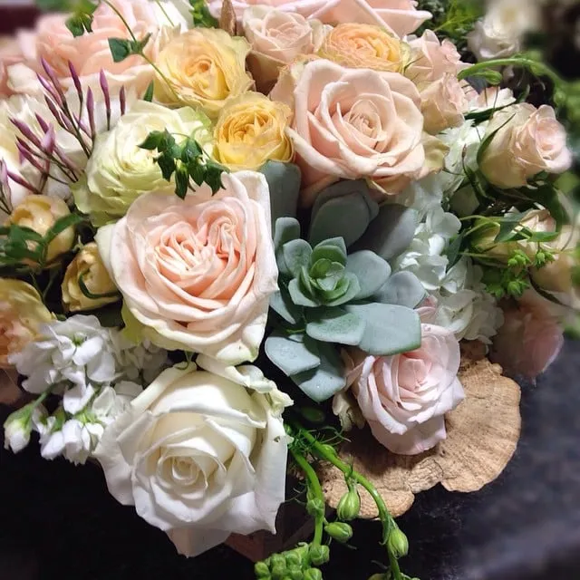 Top-rated yard maintenance in Fort Wayne, IN - Trigetty Designs