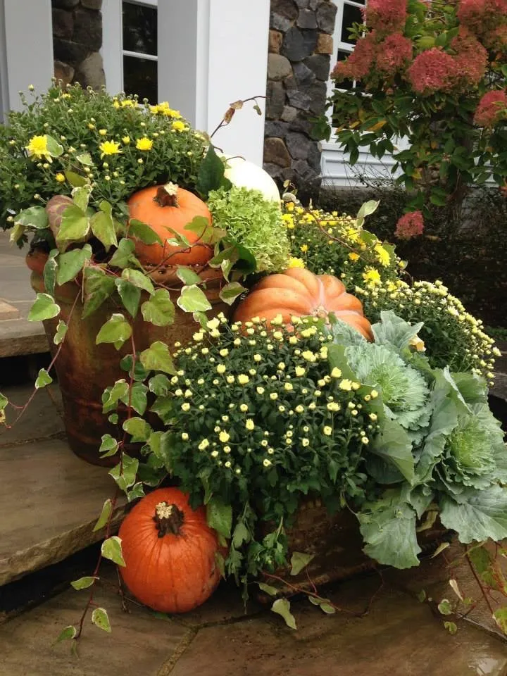 Top-rated landscape installation in Fort Wayne, IN - Trigetty Designs