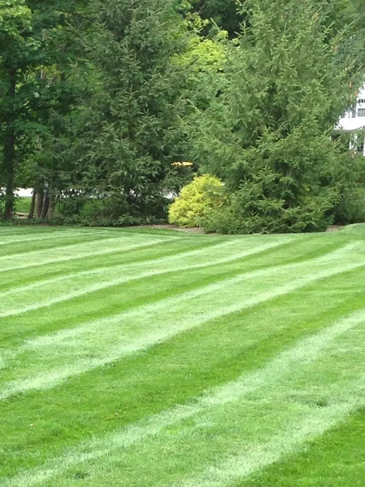 Affordable yard maintenance in Fort Wayne, IN by Trigetty Designs