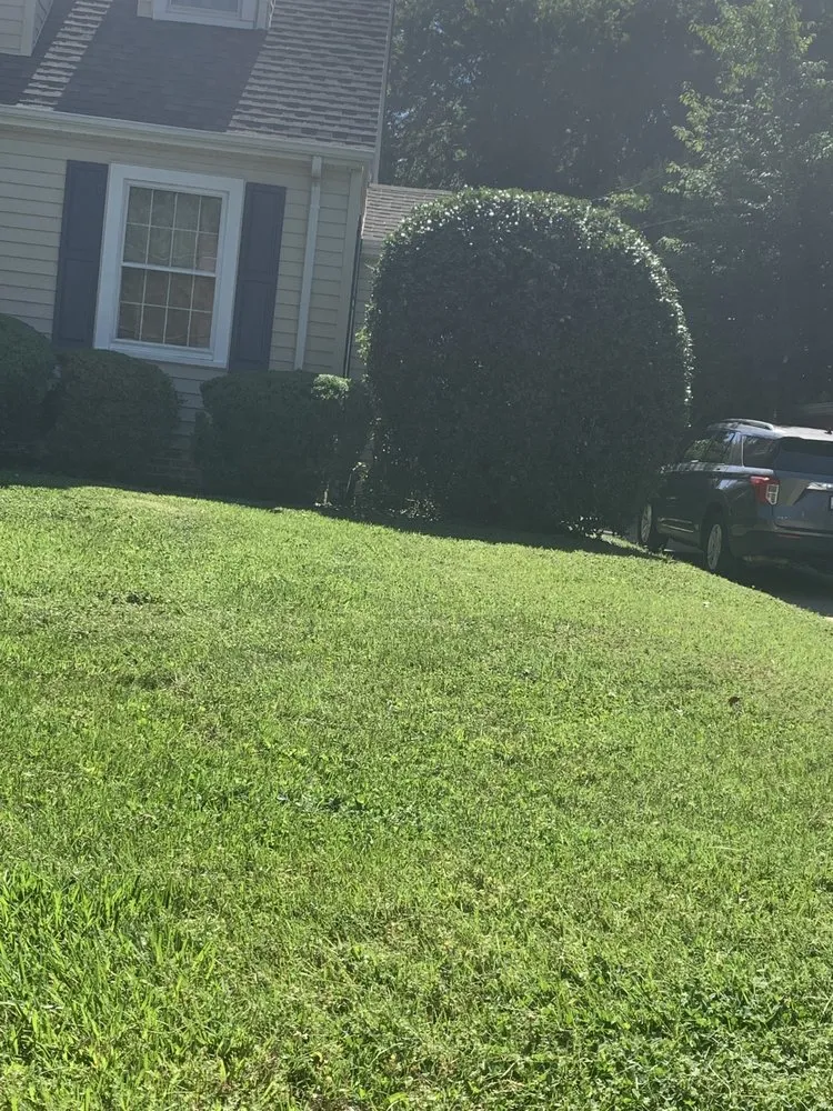 Reliable outdoor landscaping for residential properties across Lexington, NC - Trigos Lawn Care Services