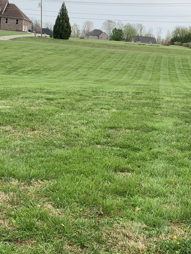 Expert lawn care service for residential properties in Lexington, NC by Trigos Lawn Care Services