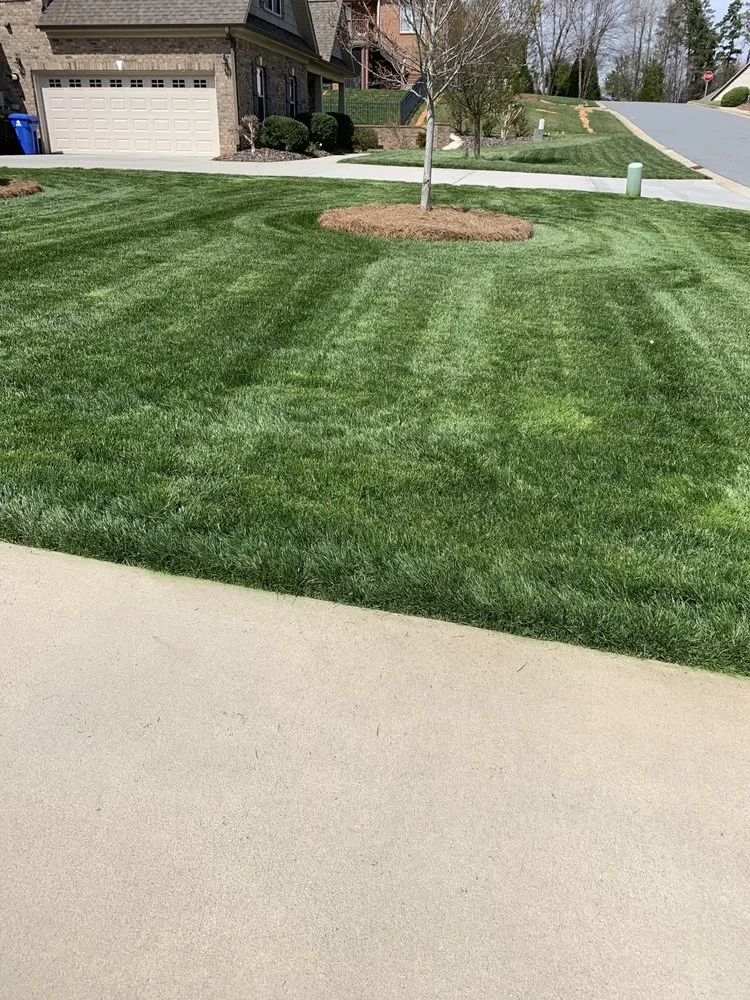 Reliable lawn care service in Lexington, NC by Trigos Lawn Care Services