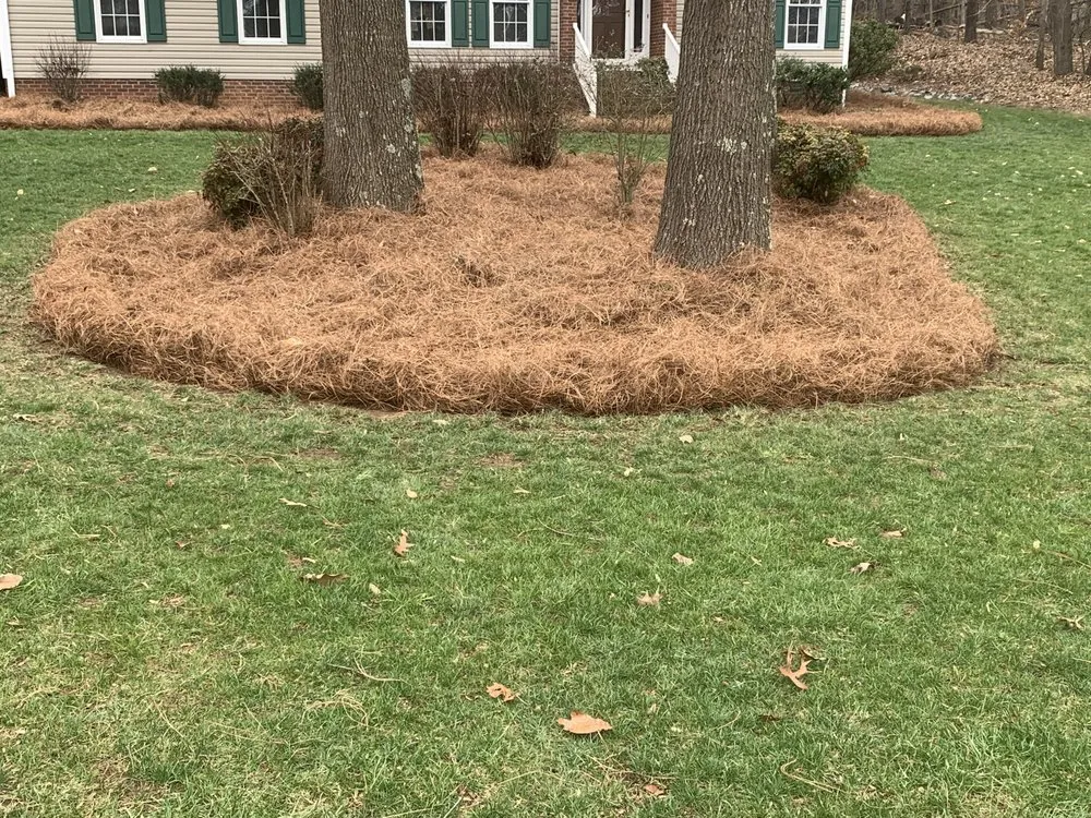 Custom landscape installation in Lexington, NC - Trigos Lawn Care Services