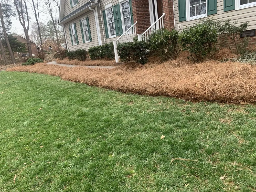 Professional lawn mowing service for outdoor upgrades in Lexington, NC by Trigos Lawn Care Services