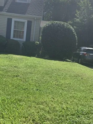 Trigos Lawn Care Services Logo