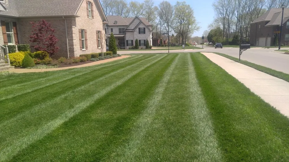 Expert yard maintenance in Franklin, TN - TriGreen Landscapes