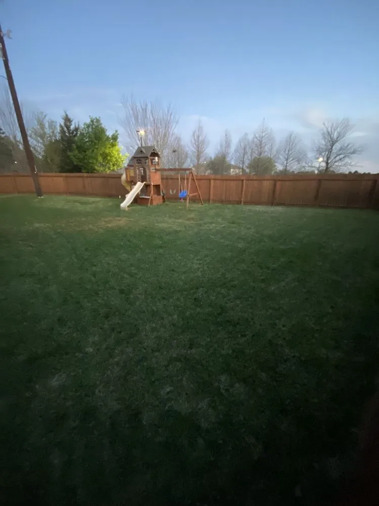 Trusted landscaping services for beautiful yards in Houston, TX by Trill Landscape