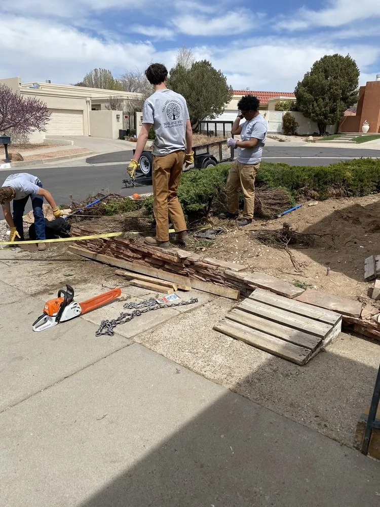 Custom yard maintenance in Albuquerque, NM by Trillanes Landscaping