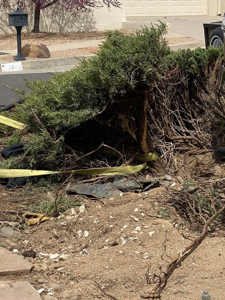 Local outdoor landscaping for residential properties across Albuquerque, NM - Trillanes Landscaping